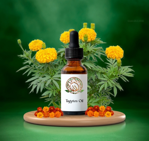 Tagetes Oil