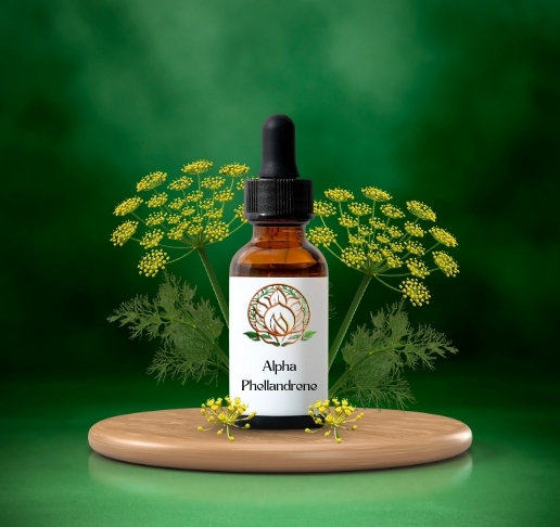 Alpha Phellandrene