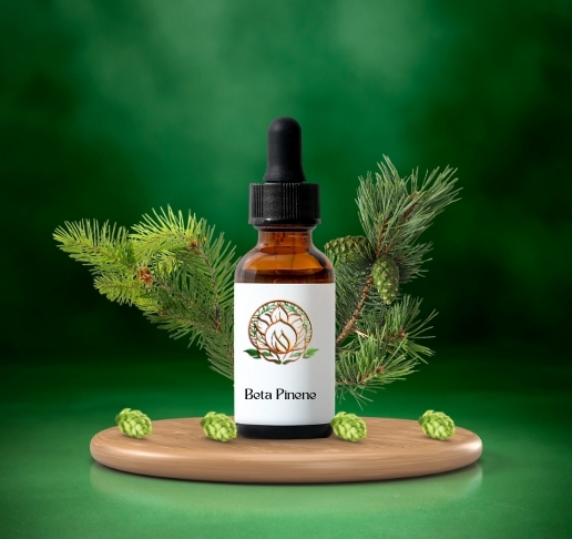 Beta Pinene
