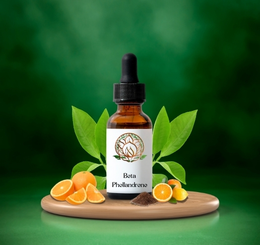 Beta Phellandrene