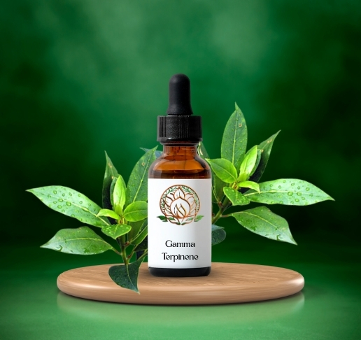 Gamma Terpinene